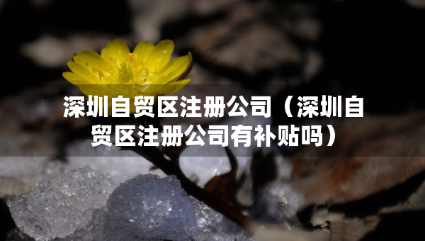 深圳自貿(mào)區(qū)注冊(cè)公司（深圳自貿(mào)區(qū)注冊(cè)公司有補(bǔ)貼嗎）