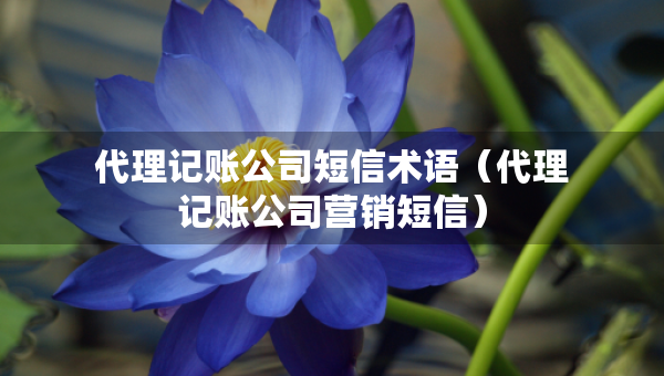 代理記賬公司短信術(shù)語（代理記賬公司營銷短信）