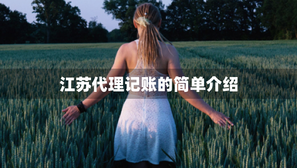 江蘇代理記賬的簡單介紹