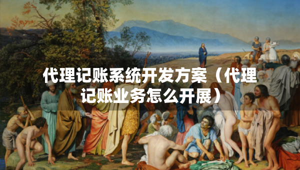 代理記賬系統(tǒng)開發(fā)方案（代理記賬業(yè)務怎么開展）