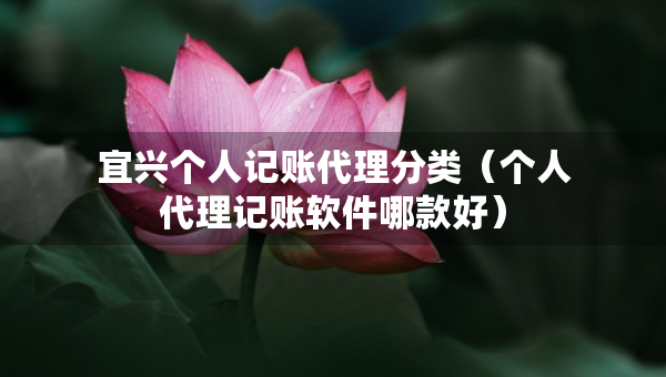 宜興個人記賬代理分類（個人代理記賬軟件哪款好）