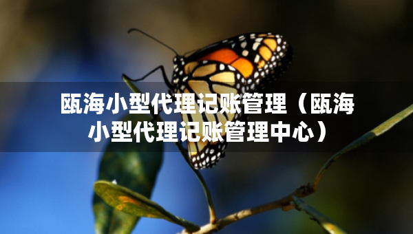 甌海小型代理記賬管理（甌海小型代理記賬管理中心）
