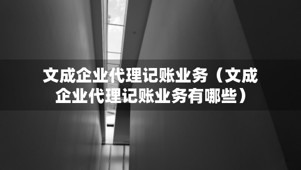 文成企業(yè)代理記賬業(yè)務(wù)（文成企業(yè)代理記賬業(yè)務(wù)有哪些）