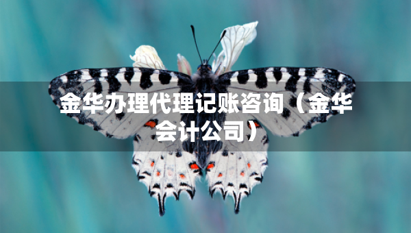 金華辦理代理記賬咨詢（金華會(huì)計(jì)公司）