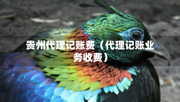 貴州代理記賬費(fèi)（代理記賬業(yè)務(wù)收費(fèi)）