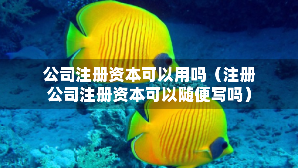 公司注冊(cè)資本可以用嗎（注冊(cè)公司注冊(cè)資本可以隨便寫嗎）