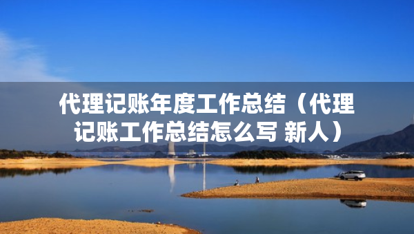 代理記賬年度工作總結（代理記賬工作總結怎么寫 新人）