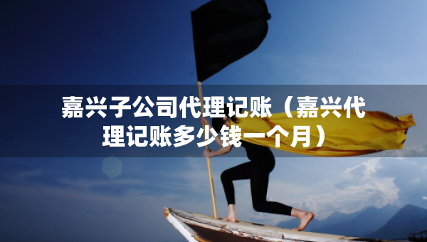 嘉興子公司代理記賬（嘉興代理記賬多少錢(qián)一個(gè)月）