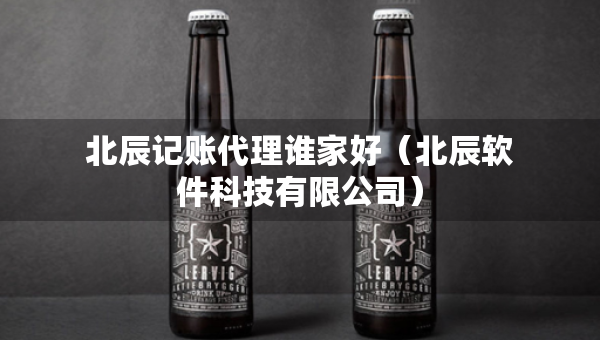 北辰記賬代理誰家好（北辰軟件科技有限公司）