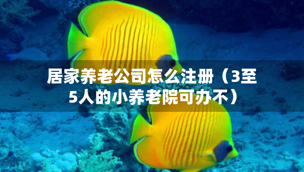 居家養(yǎng)老公司怎么注冊（3至5人的小養(yǎng)老院可辦不）