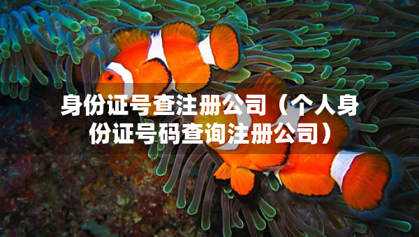 身份證號查注冊公司（個人身份證號碼查詢注冊公司）