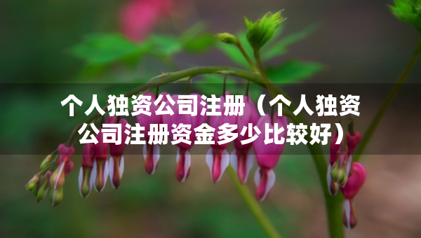 個人獨(dú)資公司注冊（個人獨(dú)資公司注冊資金多少比較好）