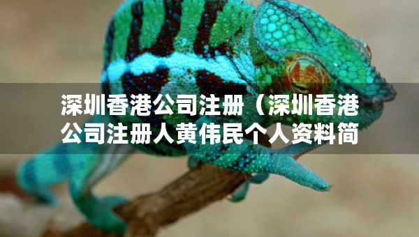 深圳香港公司注冊（深圳香港公司注冊人黃偉民個人資料簡介）