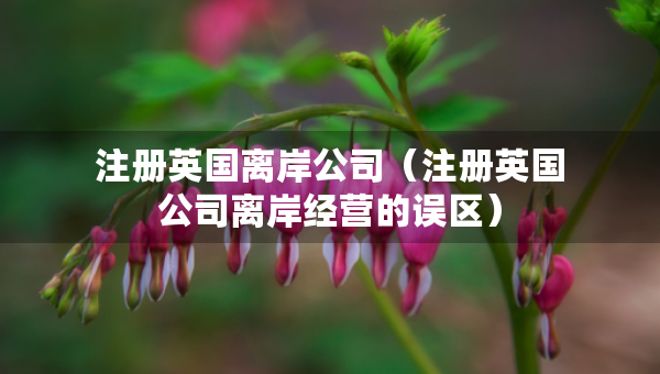 注冊(cè)英國離岸公司（注冊(cè)英國公司離岸經(jīng)營(yíng)的誤區(qū)）