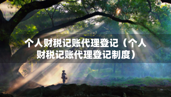 個人財稅記賬代理登記（個人財稅記賬代理登記制度）