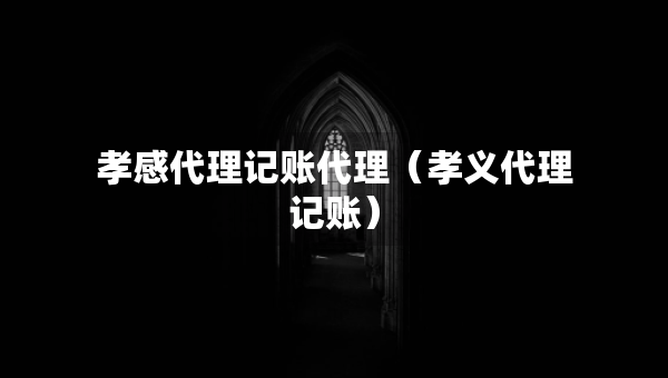 孝感代理記賬代理（孝義代理記賬）