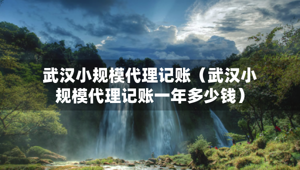 武漢小規(guī)模代理記賬（武漢小規(guī)模代理記賬一年多少錢）