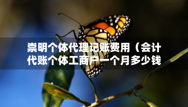 崇明個體代理記賬費(fèi)用（會計(jì)代賬個體工商戶一個月多少錢）
