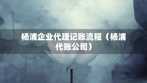 楊浦企業(yè)代理記賬流程（楊浦代賬公司）