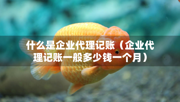 什么是企業(yè)代理記賬（企業(yè)代理記賬一般多少錢一個(gè)月）
