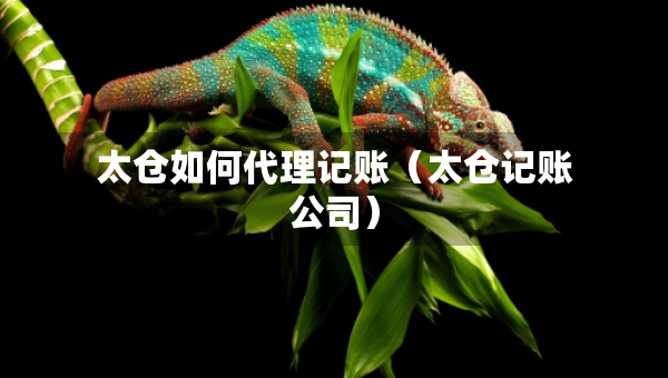 太倉如何代理記賬（太倉記賬公司）
