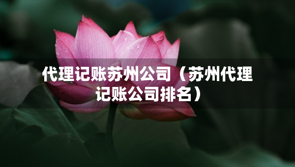 代理記賬蘇州公司（蘇州代理記賬公司排名）
