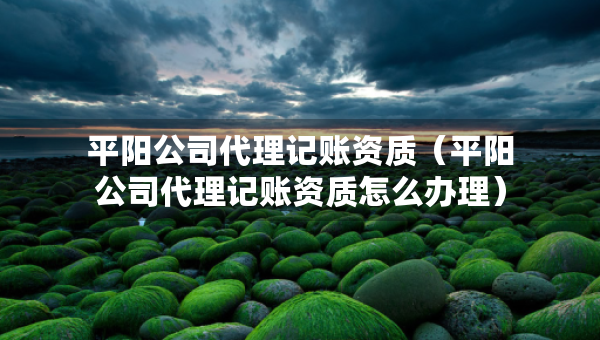 平陽公司代理記賬資質(zhì)（平陽公司代理記賬資質(zhì)怎么辦理）