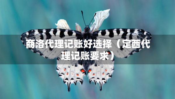 商洛代理記賬好選擇（定西代理記賬要求）