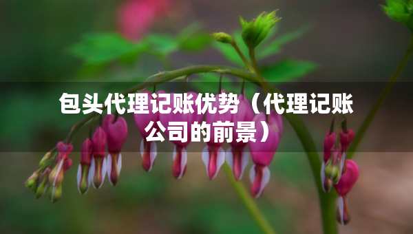 包頭代理記賬優(yōu)勢（代理記賬公司的前景）