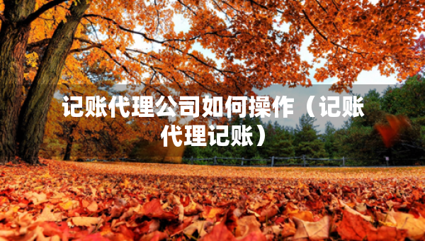 記賬代理公司如何操作（記賬代理記賬）