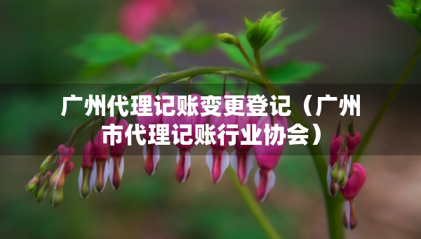 廣州代理記賬變更登記（廣州市代理記賬行業(yè)協(xié)會）
