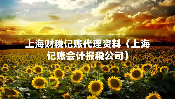 上海財(cái)稅記賬代理資料（上海記賬會計(jì)報(bào)稅公司）