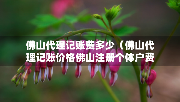 佛山代理記賬費(fèi)多少（佛山代理記賬價(jià)格佛山注冊個(gè)體戶費(fèi)用）