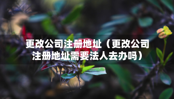 更改公司注冊地址（更改公司注冊地址需要法人去辦嗎）