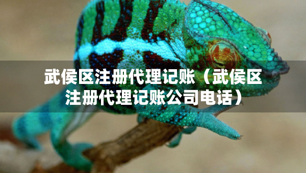 武侯區(qū)注冊(cè)代理記賬（武侯區(qū)注冊(cè)代理記賬公司電話）