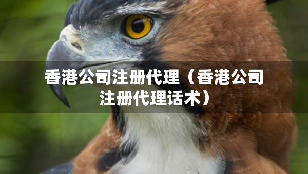 香港公司注冊(cè)代理（香港公司注冊(cè)代理話術(shù)）