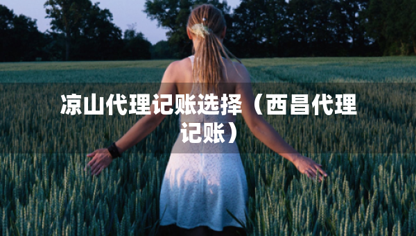 涼山代理記賬選擇（西昌代理記賬）