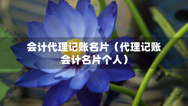 會(huì)計(jì)代理記賬名片（代理記賬會(huì)計(jì)名片個(gè)人）