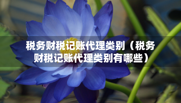 稅務(wù)財(cái)稅記賬代理類別（稅務(wù)財(cái)稅記賬代理類別有哪些）