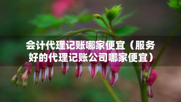 會計代理記賬哪家便宜（服務好的代理記賬公司哪家便宜）