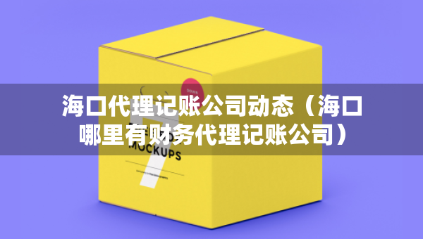 海口代理記賬公司動(dòng)態(tài)（?？谀睦镉胸?cái)務(wù)代理記賬公司）