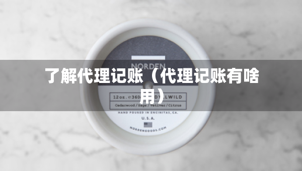了解代理記賬（代理記賬有啥用）