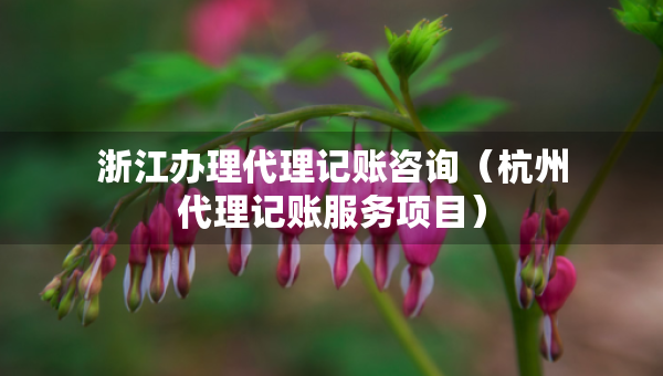 浙江辦理代理記賬咨詢（杭州代理記賬服務項目）