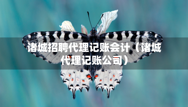 諸城招聘代理記賬會計（諸城代理記賬公司）