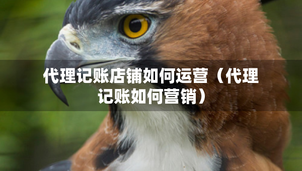 代理記賬店鋪如何運營（代理記賬如何營銷）