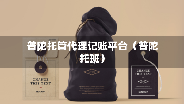 普陀托管代理記賬平臺（普陀托班）