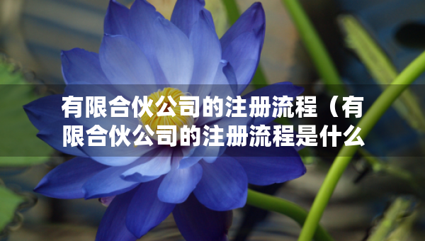 有限合伙公司的注冊(cè)流程（有限合伙公司的注冊(cè)流程是什么）