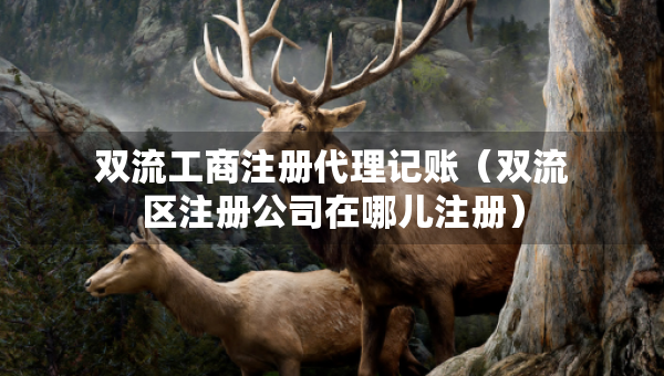雙流工商注冊(cè)代理記賬（雙流區(qū)注冊(cè)公司在哪兒注冊(cè)）
