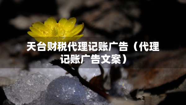 天臺(tái)財(cái)稅代理記賬廣告（代理記賬廣告文案）