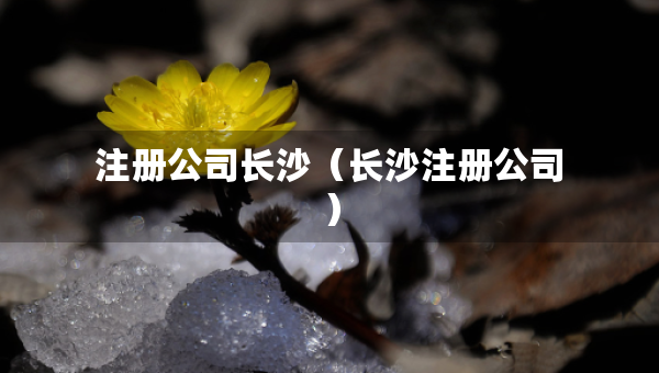 注冊(cè)公司長沙（長沙注冊(cè)公司）